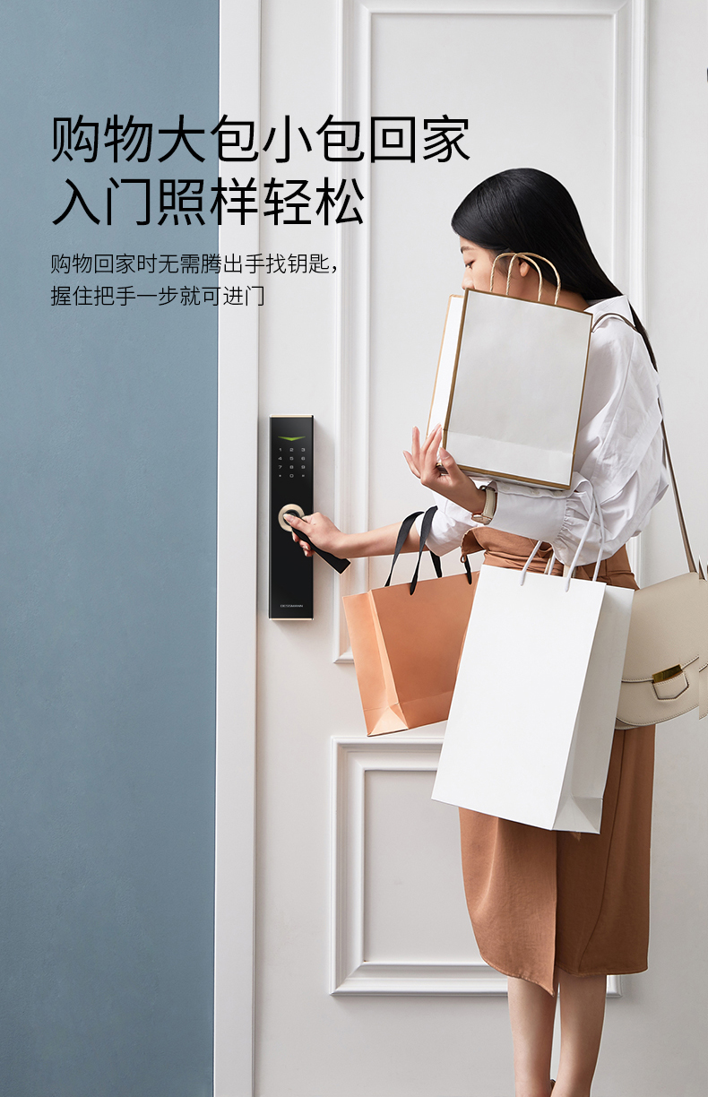 v6德施曼智能锁